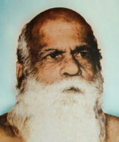 swami anandatheerthan