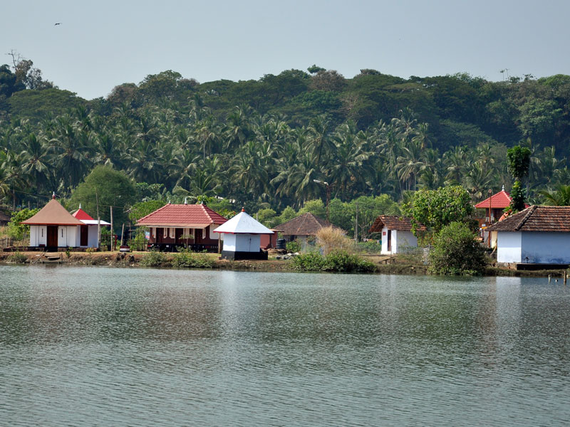 മത്തിക്കാവ്