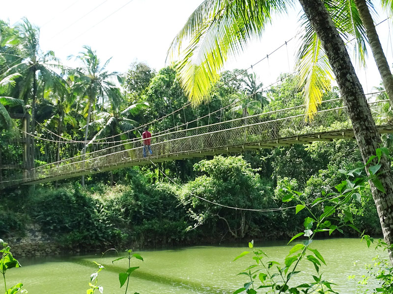 തൂക്കുപാലം