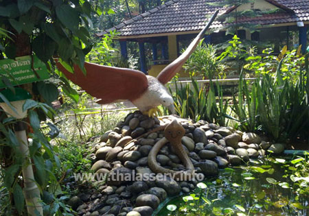 parassinikkadavu snake park